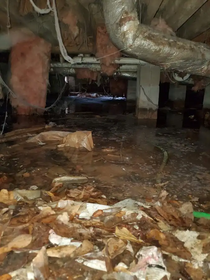 Crawl space flood assessment for Commercial Water Damage Restoration in Whitehouse