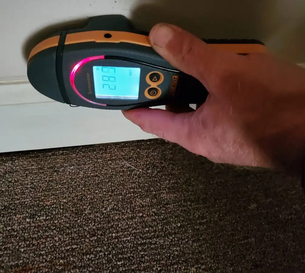 Moisture detection at baseboard during Sewage Cleanup & Sanitation in Whitehouse